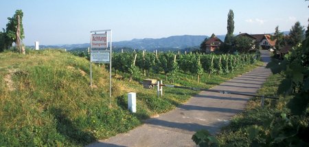 An sich eine idyllische Kulisse: Die grüne Grenze an der südstei...