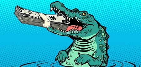 Wie oft muss man mit ihr raus, bis die Bestie gehorcht?