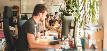 Warum haben Eichen Falten? Die Katapult-Redaktion bei der Arbeit