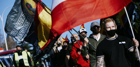 Teilnehmer des Aufmarsches am Sonnabend in Madrid