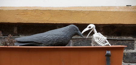 imago0113535909h.jpg