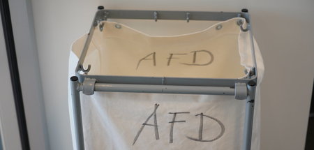 Die AfD will ihren Status als »rechtsextremer Verdachtsfall« mög...