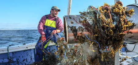 Der Fischer Gregorio Linde zieht ein Fangnetz aus dem Wasser – d... Der Fischer Gregorio Linde zieht ein Fangnetz aus dem Wasser – d...