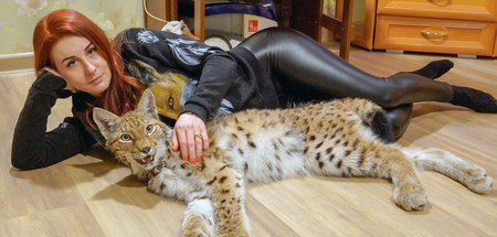 Anastasija Tschernega mit Haustier Freja: »Re: Raubkatzen im Woh...