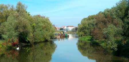 Naturnaher Strom: Die Alte Oder an der polnischen Grenzstadt Slu... Naturnaher Strom: Die Alte Oder an der polnischen Grenzstadt Slu...