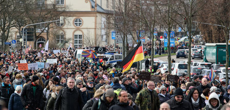 Demonstration_gegen_68788581.jpg