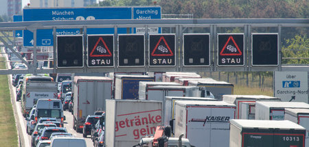 Bayern_mit_zweitmeis_64266643.jpg