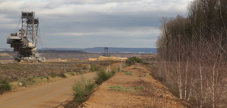imago0105099232h.jpg