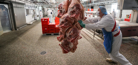 Koalition_verordnet_67507971.jpg