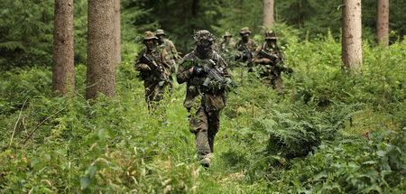 Umweltfreundlich töten: Bundeswehr-Soldaten bringen sich in Konf...