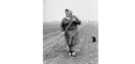 Landwirtschaftliche Basisarbeit: Bäuerin macht Meter für Meter (...