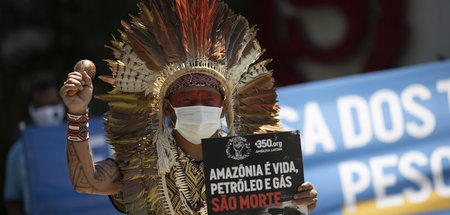 Allein in Brasilien wurden in den vergangenen Jahren hunderte Um