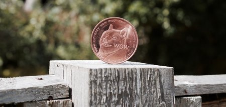 Wuff! Im Kapitalismus wird in jeden Blödsinn Geld gesteckt