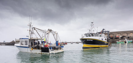 Franzoesische_Fische_69336656.jpg
