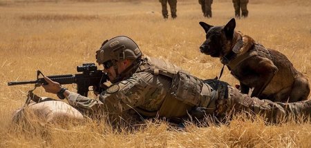 Übung mit Hund: US-Soldat auf der Al-Asad-Luftwaffenbasis im Ira...