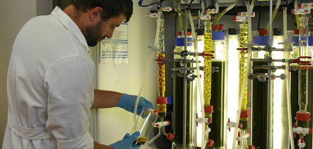 Köthener Forscher haben eine Art »Tankstelle« zur Ölgewinnung au...