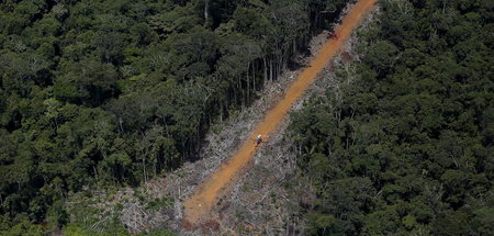 Schneise der Verwüstung: Illegale Goldsuche auf dem Gebiet der Y...