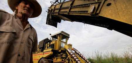 Kuba, wo einst die Zuckerproduktion dominierte, will seine Landw...