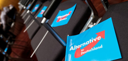 Finanziell auf Rosen gebettet, die AfD