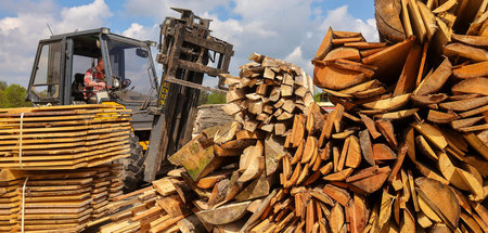 Dieses Holz ist nicht für den Bau. Es wird zu Hackschnitzel vera...