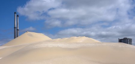 Politikum: Schwere Erkrankungen aufgrund hoher Schadstoffkonzent...