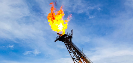 Allianz OPEC plus sieht steigende Nachfrage nach Erdöl und weite...
