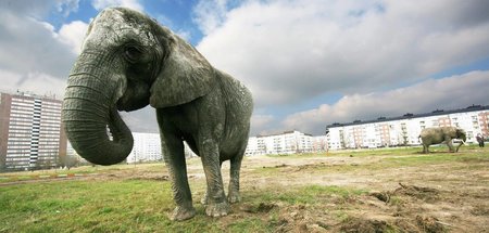 Vor Abstimmung am 26. September: Deutsche Wohnen bleibt einsamer...