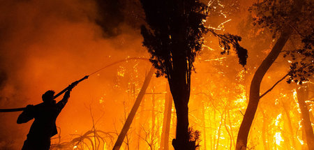 Während Feuerwehrleute gegen die Flammen kämpfen, glänzt Premier...