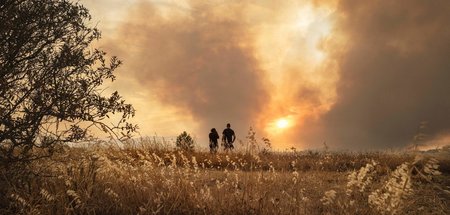 Bereits Ende Juli kam es im südfranzösischen Fabrezan zu Waldbrä