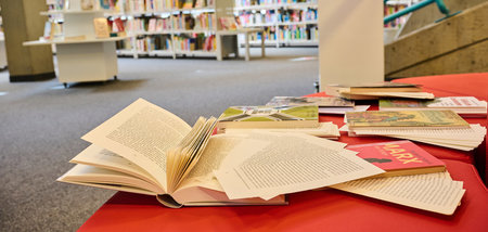 Bibliothek_sieht_sic_70588450.jpg