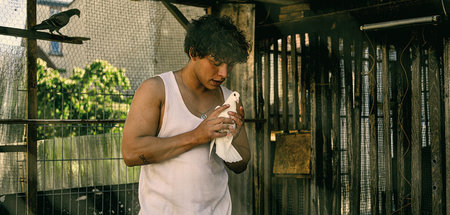 Darko (Malik Blumenthal) sucht die schönsten Tauben aus