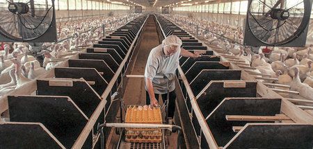 Monotonie des Monströsen: Alles in diesem Film bewegt sich langs...