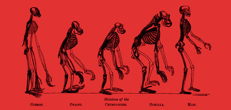 Wissenschaftlich belegbare Fakten stimmen mit so manchem rassist...