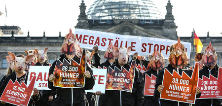 imago0133522786h Kopie.jpg