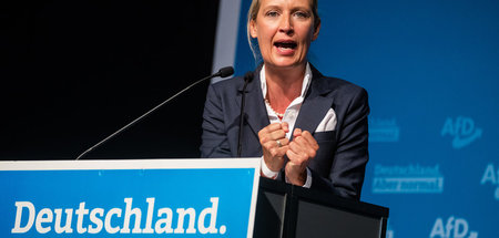 Alice Weidel, AfD-Landeschefin in Baden-Württemberg, auf dem Par...