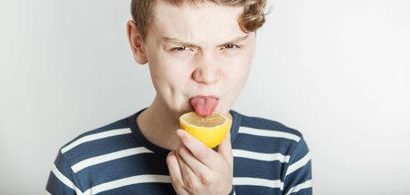 Limetten und Zitronen sind beide für sich nicht unbedingt genieß...