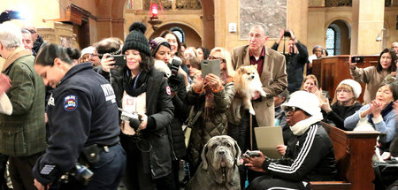 Ein Herz für Tiere auch im Winter in New York, hier in der Chris...