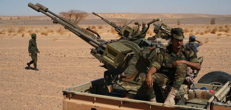 4_Flaks_Polisario.JPG