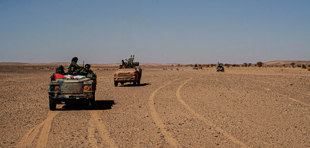 Fahrzeuge der Polisario in der Westsahara