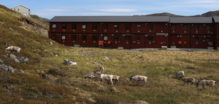 2018-0CONOMY-SAMI.JPG