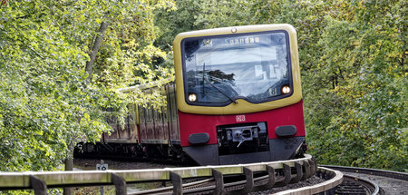 imago0093969610h.jpg