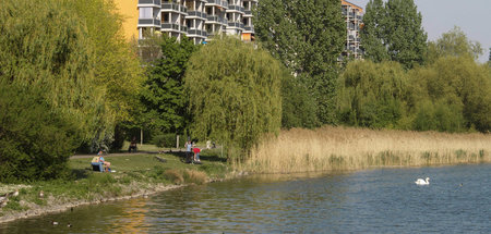 Die Idylle trügt: Der Klimawandel macht dem Leipziger Silbersee ...