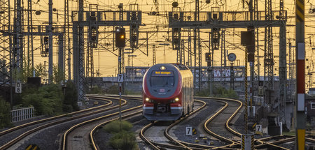 imago0141118992h.jpg