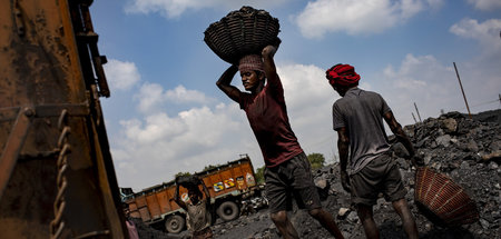 Erhöhter Energiebedarf in Indien: Arbeiter verladen Kohle für de...