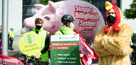 Gegen das herrschende Schweinesystem (Demonstration am 27.8.2020...