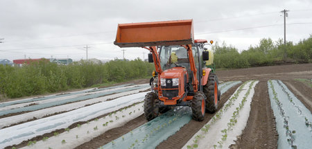 Kämpfer gegen den Klimawandel: Farmer Tim Meyer bewirtschaftet i... Kämpfer gegen den Klimawandel: Farmer Tim Meyer bewirtschaftet i...