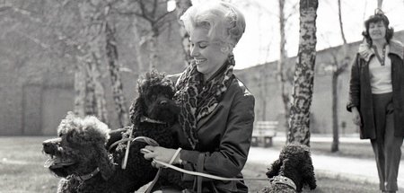Drei Pudel und eine Dame: Christine Laszar (Berlin, DDR, 1965)