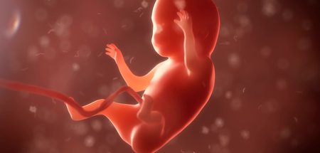 Man muss halt eintauchen wollen: Grouper-Hörer der Zukunft