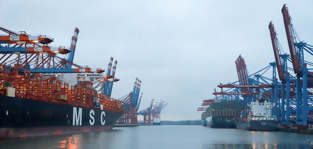 imago0144721303h.jpg