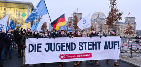 Demonstration der AfD-Jugendorganisation gegen eine mögliche Imp... Demonstration der AfD-Jugendorganisation gegen eine mögliche Imp...